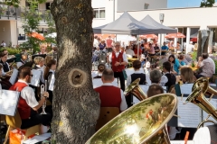 IMG_20190623_164443423_HDR